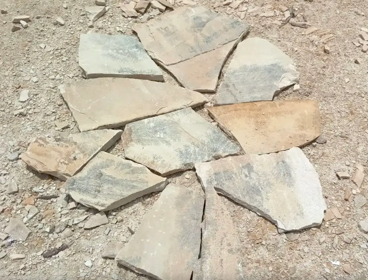 Arenisca Fossil – Desde 32,49 €/m² + IVA