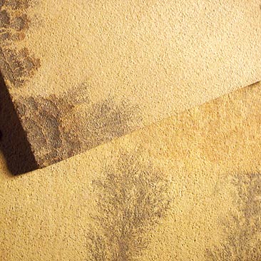 Fossil Sandstone – €28.30/m²